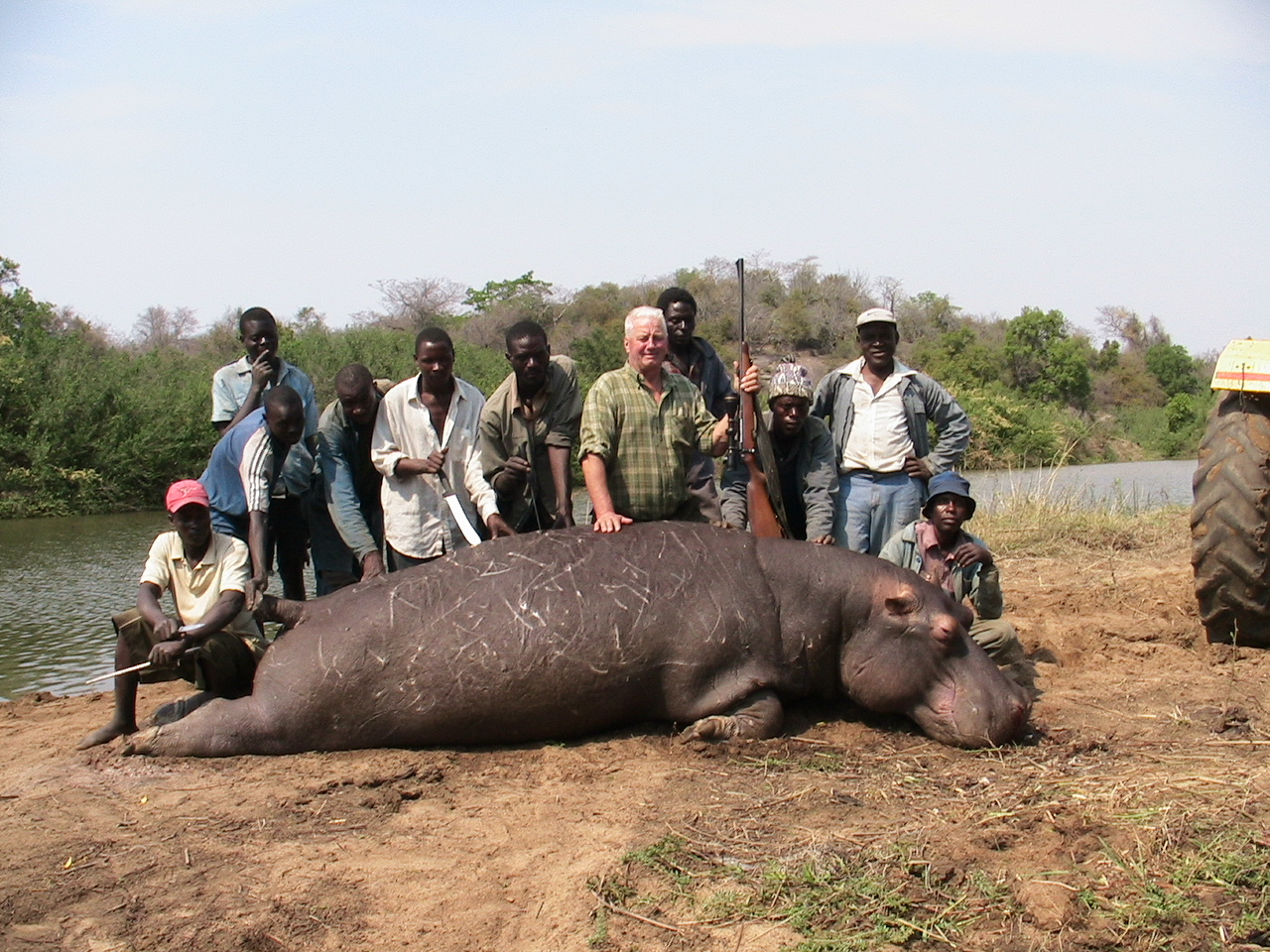 hippo deaths