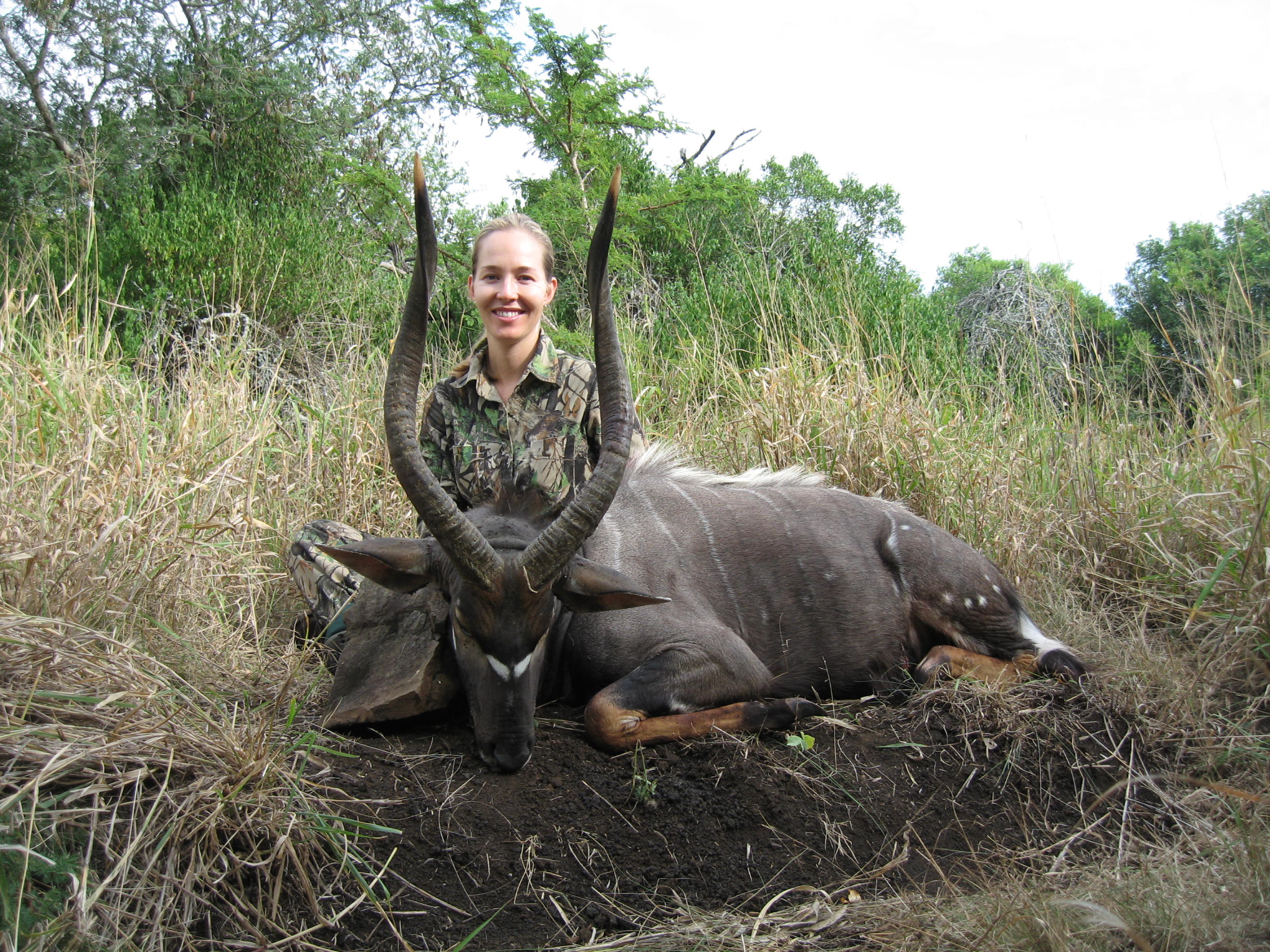 trophy nyala