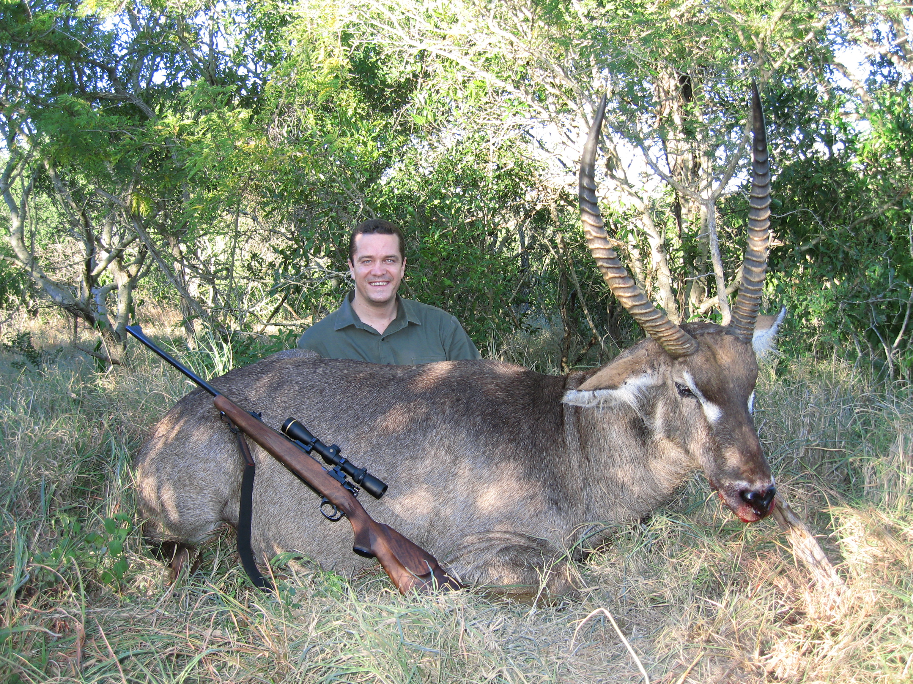 waterbuck